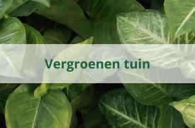 Tuin verduurzamen met gemeentesubsidie