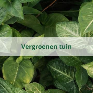 Tuin verduurzamen met gemeentesubsidie